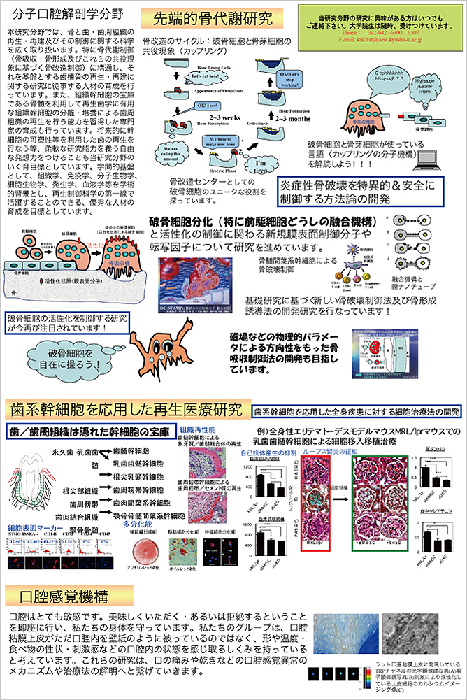 研究分野概要 研究分野概要